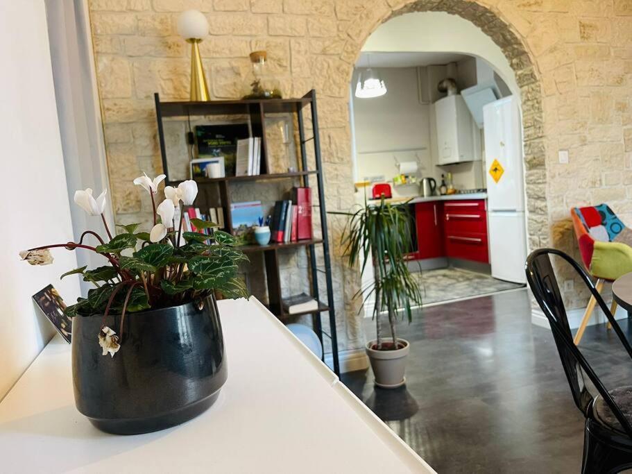 Chaleureux Appart, Proche De La Loire Avec Parking 올리언스 외부 사진